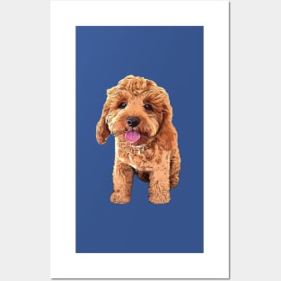 Spoodle Cockapoo Cavapoo Golden Doodle Beauty Posters and Art
